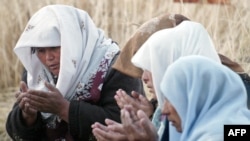 Иллюстрация. 