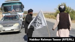 جنگجویان گروه طالبان در ولایت غزنی