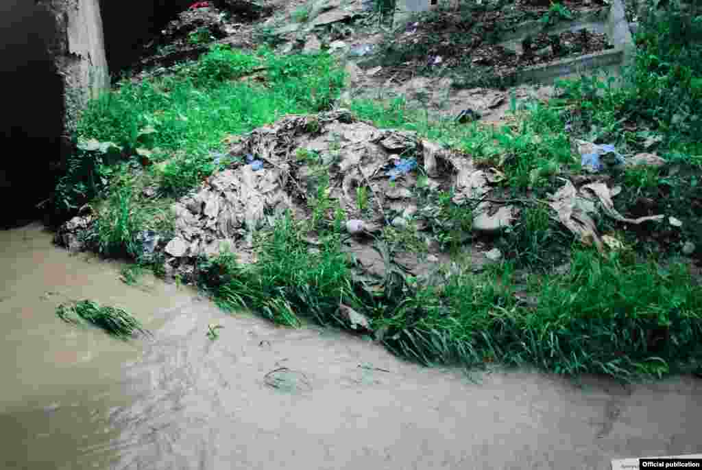 Суу бир гана адамзат үчүн арналган эмес. Суусуз жаныбарлардын,&nbsp;өсүмдүктөрдүн да жашоосун элестетүү кыйын.&nbsp;