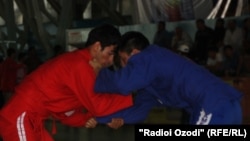 Акс аз бойгонӣ