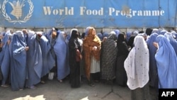 تصویر آرشیف: گروهی از زنان در مقابل دفتر برنامه جهانی غذا در کابل جمع شده اند تا کمک های بشری دریافت کنند 