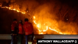 Түштүк Кореяда өрт 300дөй чарчы чакырым аймакты каптады.