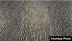 Лёнік Тарасэвіч, Карціна бяз назвы