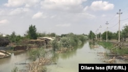 Затопленные строения в Мактааральском районе Туркестанской области. 2 мая 2020 года.