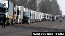 Иллюстрациялык сүрөт. 