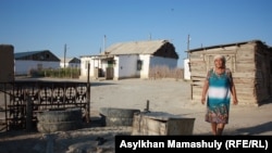 Жительница села Комекбаева стоит у колодца. Кызылординская область, 16 июля 2013 года.
