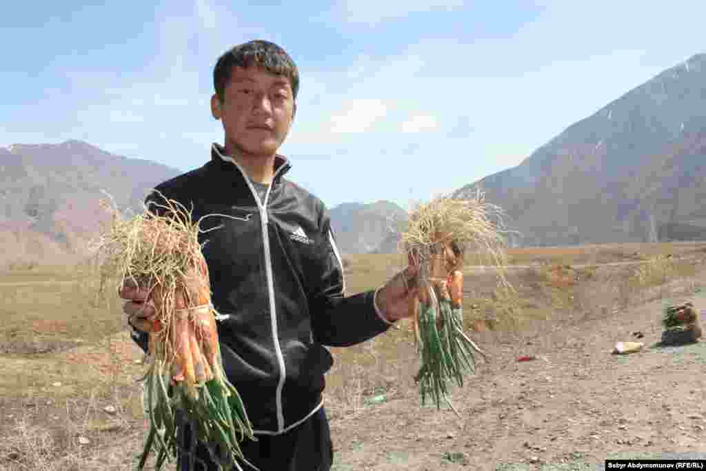 Жапайы пиязды терип келип кан жолдо сатып жаткан бала. Токтогул району.&nbsp;