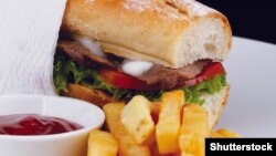 Иллюстрациялык сүрөт. 