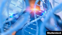 Иллюстрациялык сүрөт.