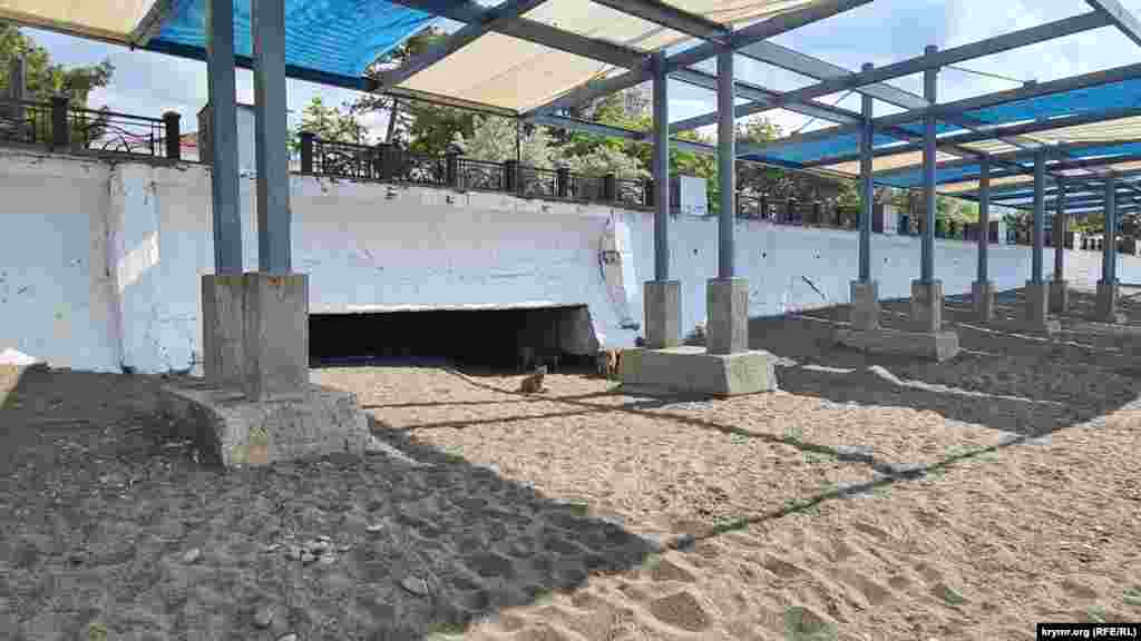 Шәһәр пляжында этләр