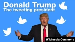 Дональд Трамп.