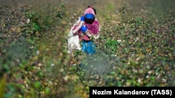 Иллюстративное фото 