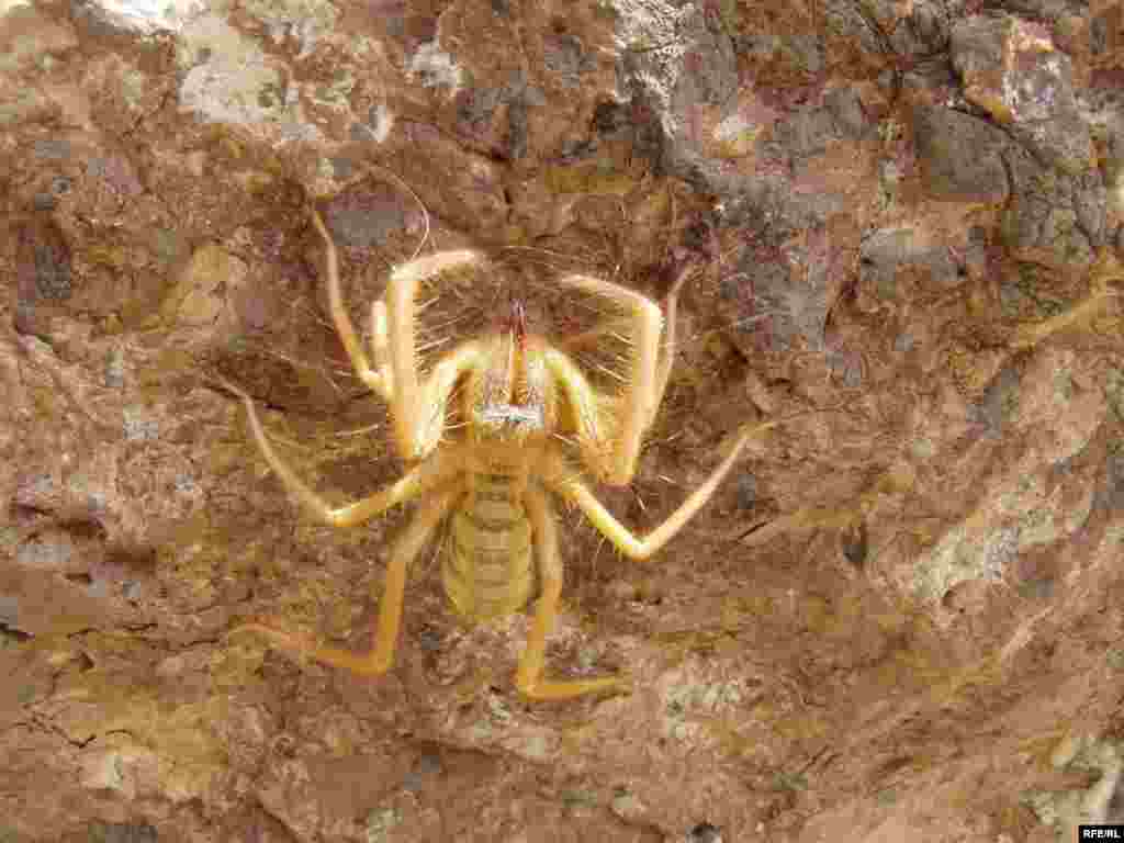 Как спасти издание от банкротства #6