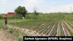 Иллюстративное фото.