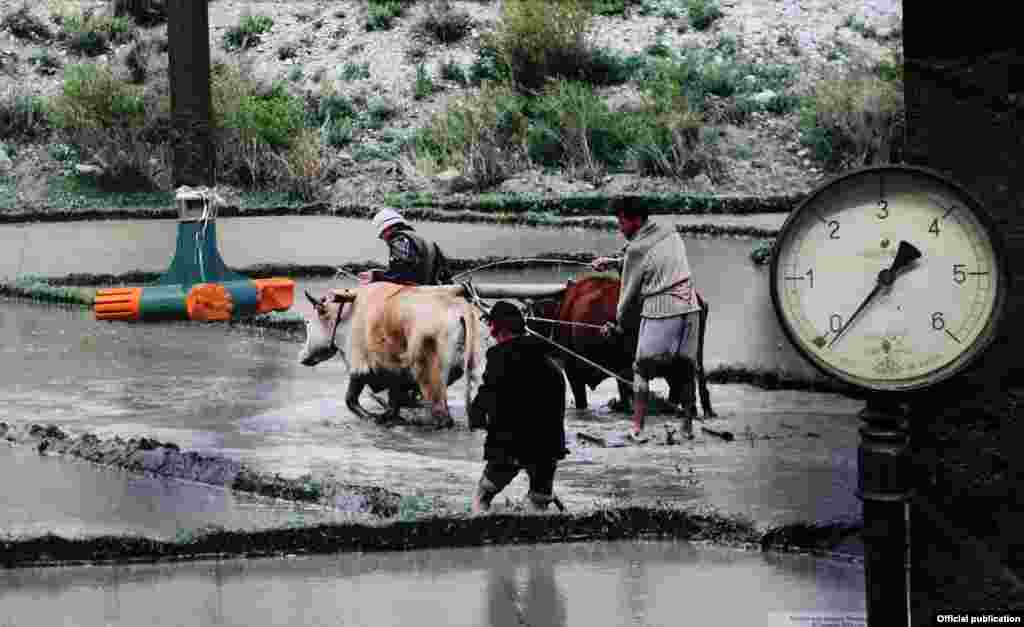 Сууну үнөмдүү пайдалануу үчүн дыйкандар арасында тамчылатып сугаруу системасын жайылтуу тууралуу айтылып келет.