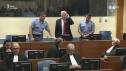 Відео з суду в Гаазі: Младича засудили до довічного ув’язнення (відео)