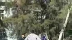 Айдоочу жол кайгуулчуга кол көтөрдү