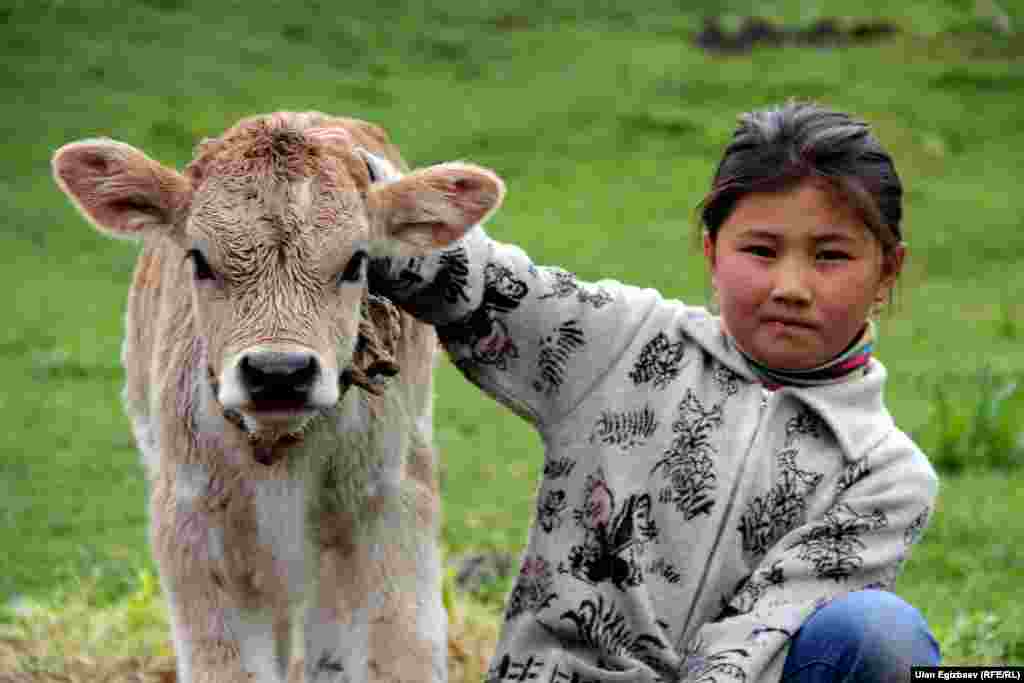 Бул музоо эмчектен эрте чыгып, сүттү колдон ичет. Кундуз аны Майборка деп эркелетет.
