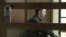 Yury Yeshchenko attends a court hearing in Bryansk on November 20. 