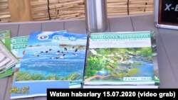 Türkmen nesşirleri