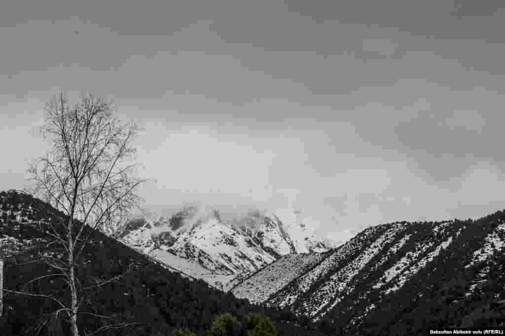 Кашка-Суудагы кыш.&nbsp;