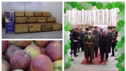 Логистикалык борборлордун биринин ачылышы.