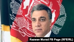 رضوان مراد رییس دفتر مطبوعاتی معاونیت اول ریاست جمهوری