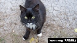 Ілюстрацыйнае фота