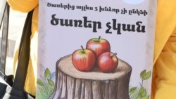 Հաջորդն Ամիրյան փողոցն է լինելու. բողոքի ակցիա Երևանում ընդդեմ ծառահատումների