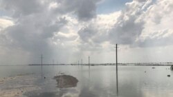 Наводнение в Мактааральском районе после прорыва дамбы Сардобинского водохранилища в Узбекистане, 2 мая 2020 года.