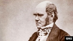 U.K. -- Charles Robert Darwin, English naturalist, undated