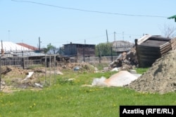 Музей янындагы күренеш