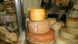 Козячі сири з «Козацького подвір’я». Київ, 9 листопада 2019 року