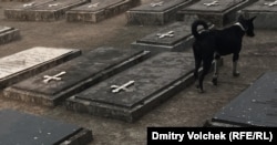 Армянское кладбище в Дакке