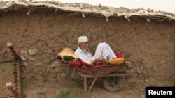 تادامچی: برای خود کفایی، نشست بروکسل در پیش است اما صد در صد هیچ چیز امکان ندارد.