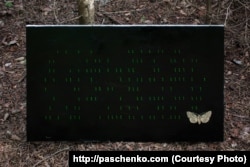 «Сто доларів», Тарас Пащенко