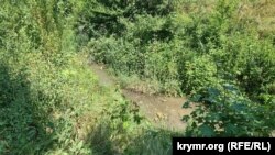 Річка Малий Салгір у Сімферополі поблизу вулиці Будьонного. 19 липня 2025 року