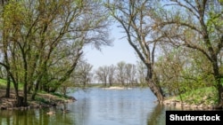 Сотні птахів загинули на території заповідника цієї зими