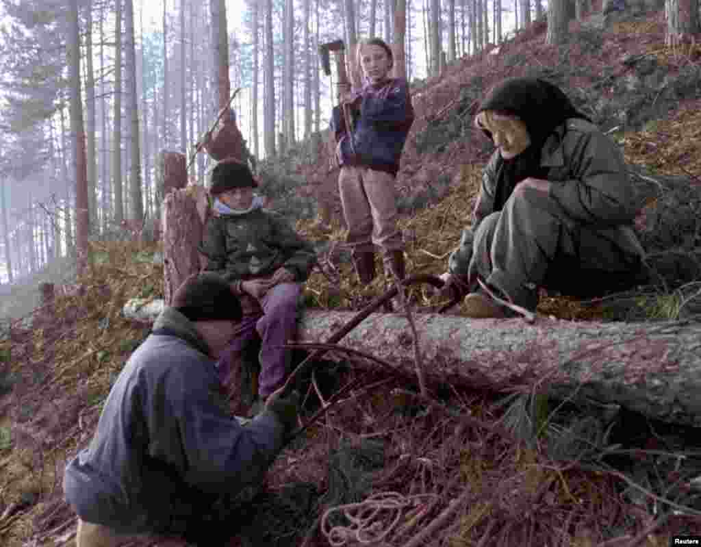 Gabaw bir ýyla golaýlanda şäheriň daşyndaky baýyrdan odunlyk agaç çapýan maşgala.