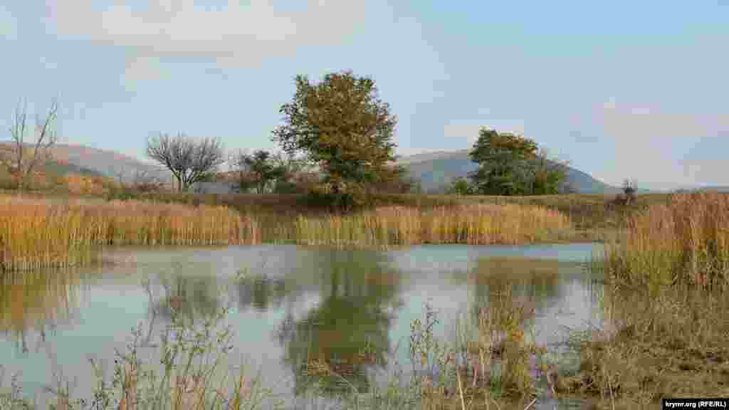 У гарну погоду в озері відбиваються дерева і небо