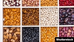 Иллюстрациялык сүрөт 