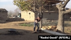 Ҳезум сӯзишвории асосӣ дар деҳоти Тоҷикистон аст.