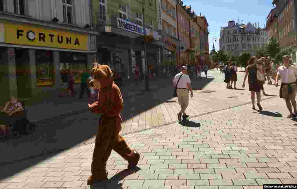 Медведь спешит в кинотеатр &quot;Час&quot;