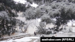 Türkmenistanda şu ýyl birnäçe gezek güýçli gar ýagdy. Fewral, 2025. 