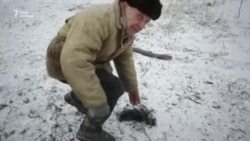 Жителів Авдіївки й далі обстрілюють (відео)