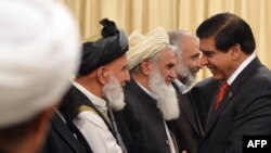 Пакистан өкмөт башчысы Ража Первез Ашраф менен ооган тынчтык арачылары менен учурашууда. Исламабад, 12-ноябрь, 2012.
