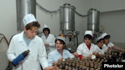 Армения – Коньячный завод в Армавирской области 