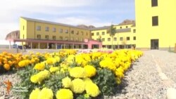 Жаңы университет эшигин ачты