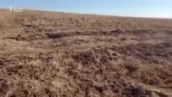 Пайариқ туманида барпо этилган 1600 гектар боғ бир йилда қуриб қолди