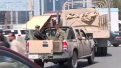 Доғҳои Кобулро мешӯянд, деворҳояш гӯё мешаванд